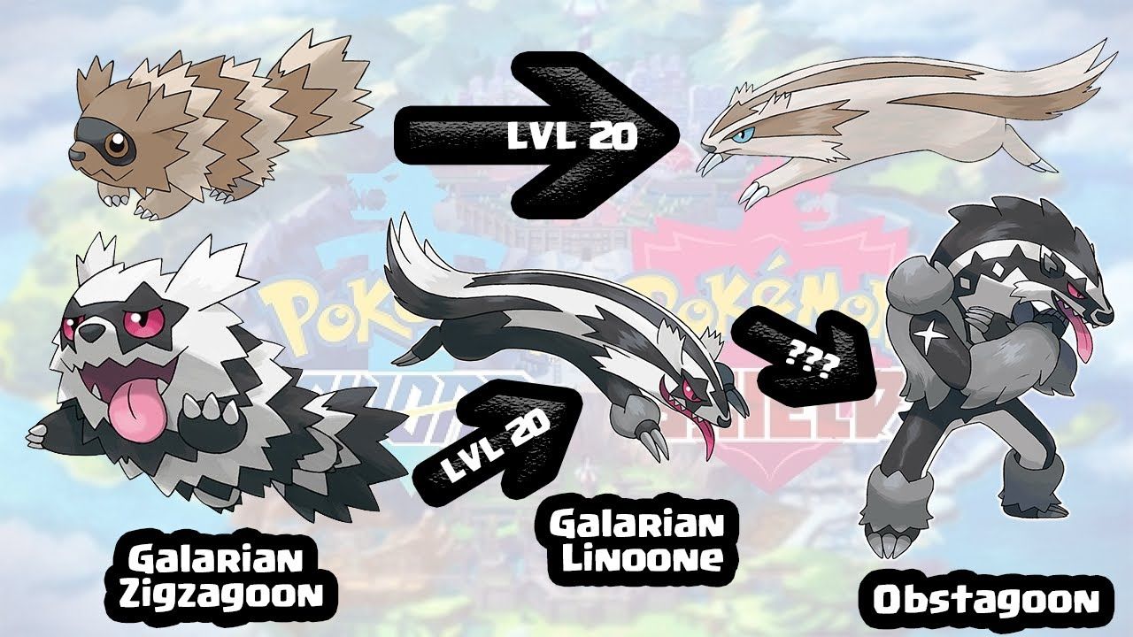 Zigzagoon, Linoone, Obstagoon フィギュアセット Zigzagoon, Linoone, Obstagoon フィギュアセット