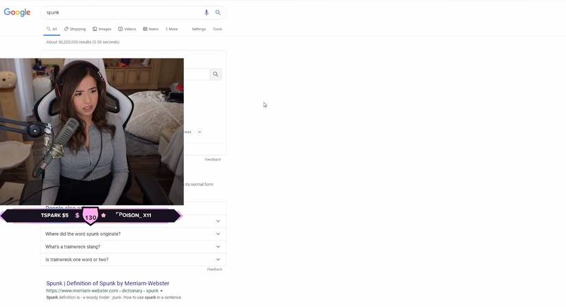 Pokimane Risks Ban Googling Images For 'Spunk'