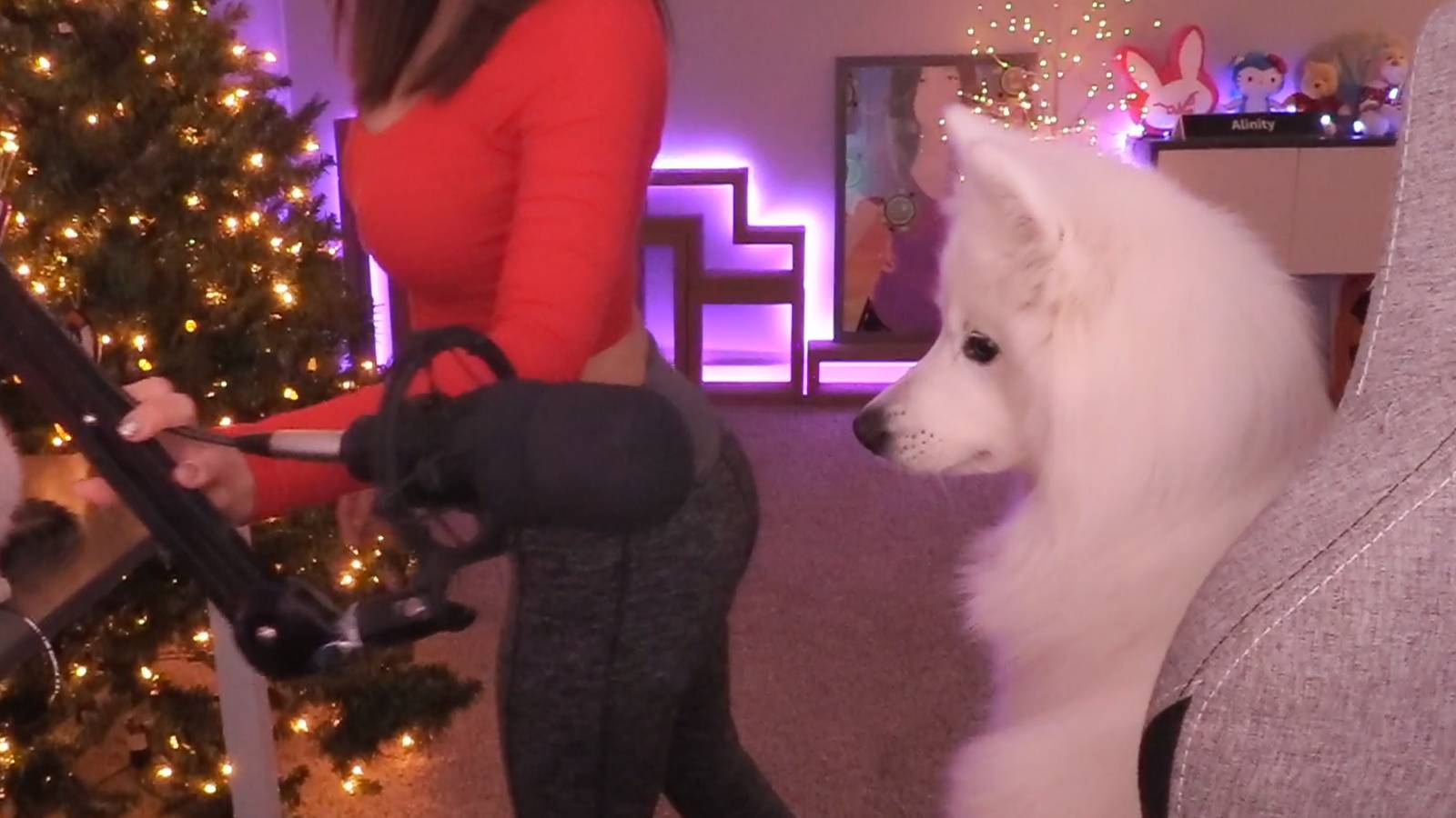 Montage Of Alinity’s Dog Being Inappropriate