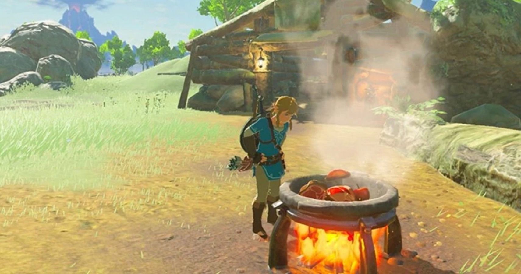 zelda breath of the wild case difference
