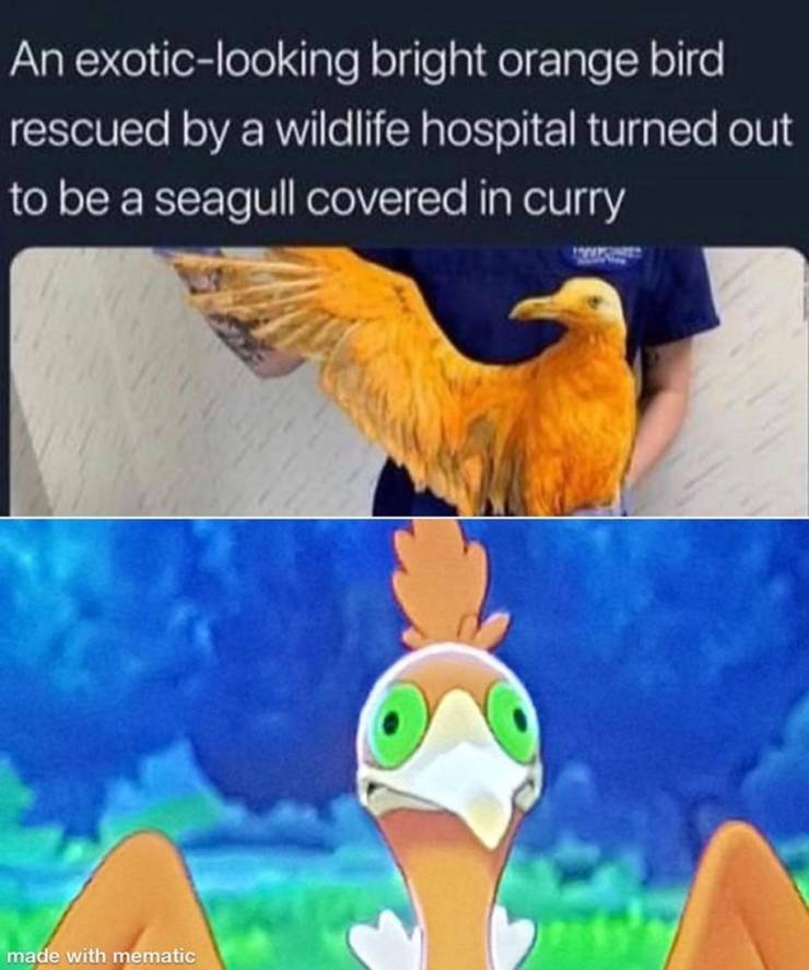 Pokemon Sword Shield Logic Memes That Are Too Hilarious For Words