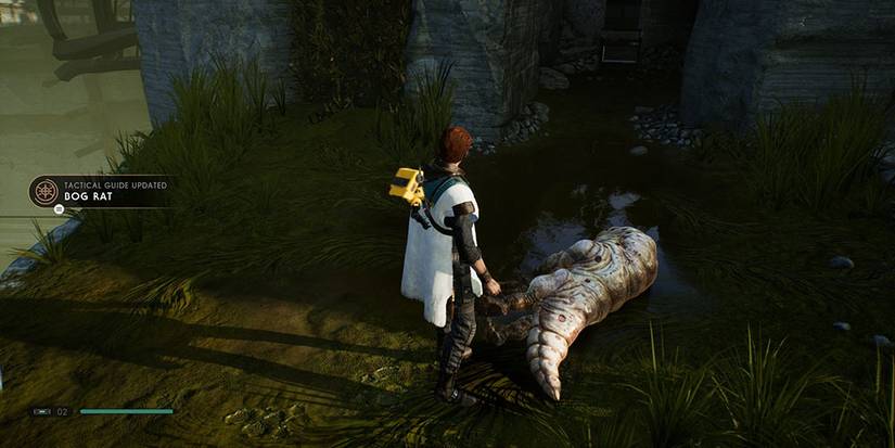Star Wars Jedi: Fallen Order: 15 Things To Do After You Beat The Game