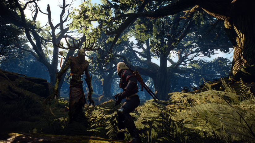 The Witcher: 10 Side Quests From The Games We Want To See In The ...