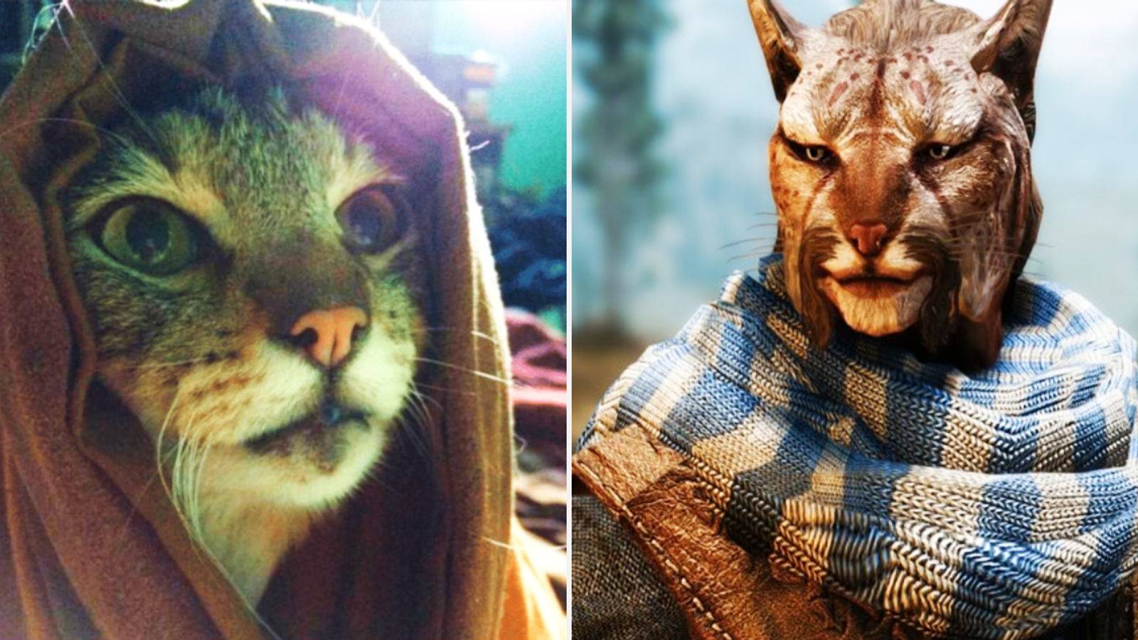 Skyrim: 10 Khajiit Memes That Are Too Hilarious For Words, image size:1600x900