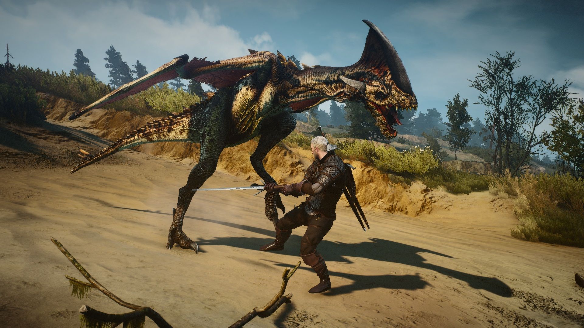 the witcher series dragon