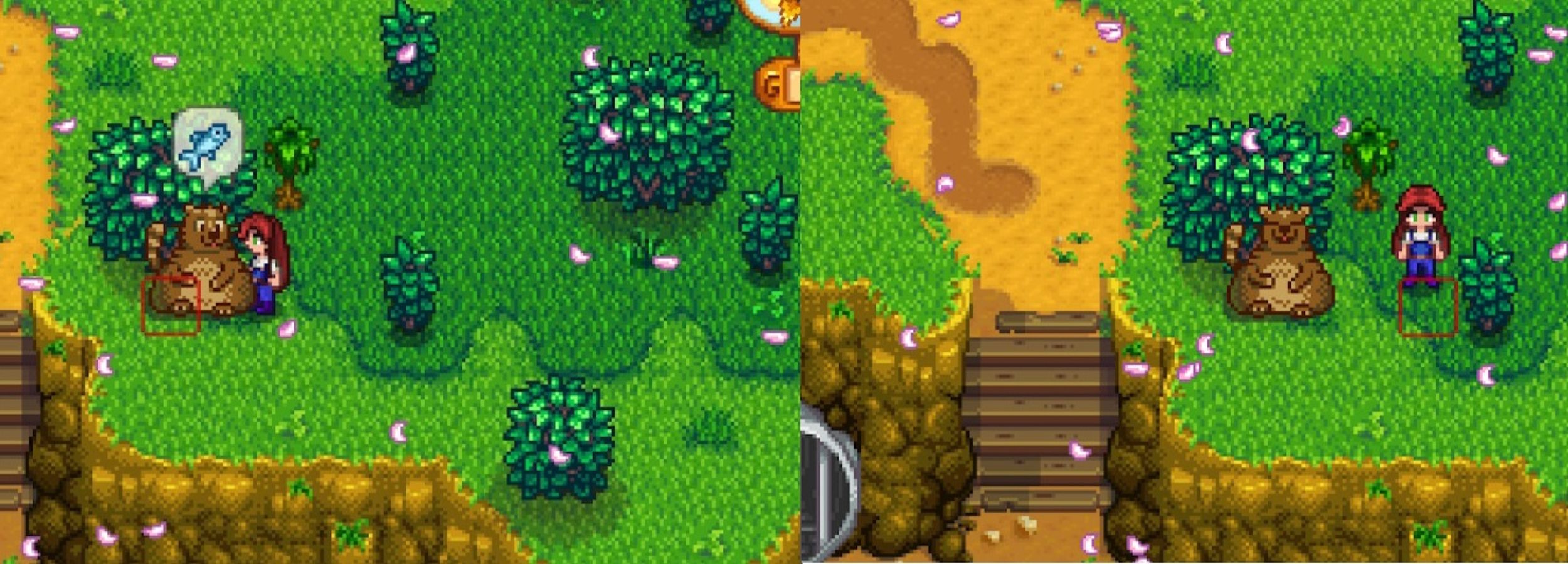 stardew valley bear in cindersap forest