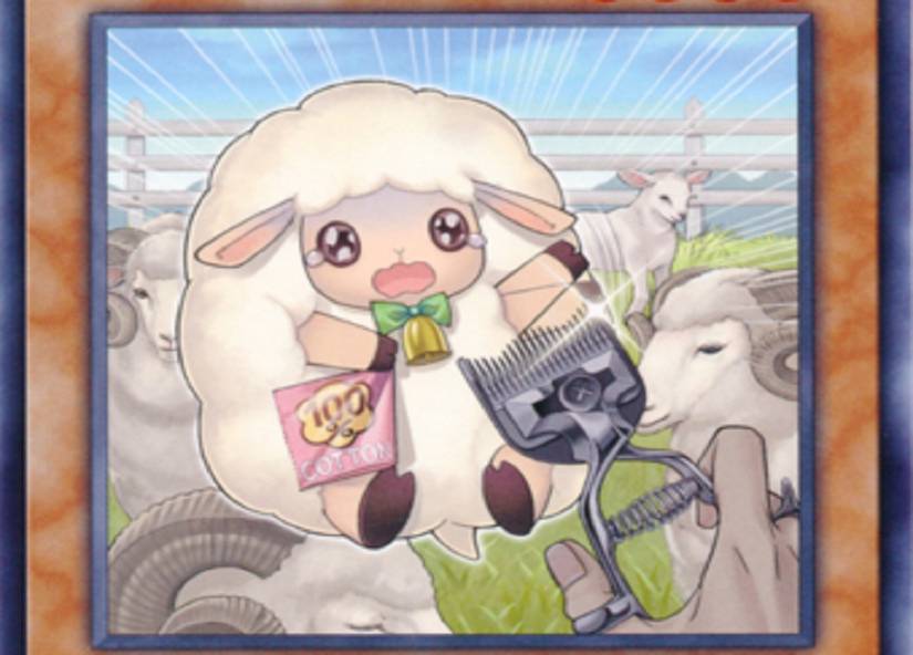 Yu-Gi-Oh: 15 Funniest Monster Cards In The Game
