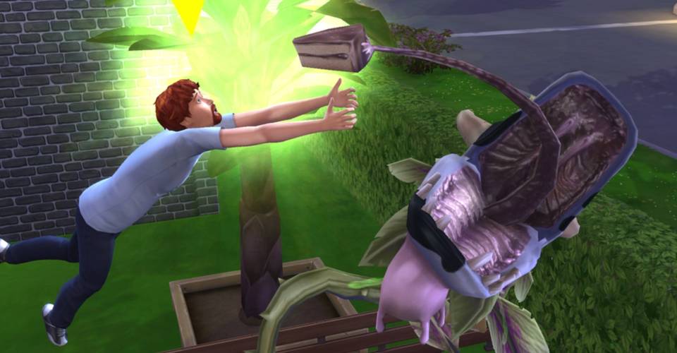 How To Feed Cowplant Sims 4 All About Cow Photos