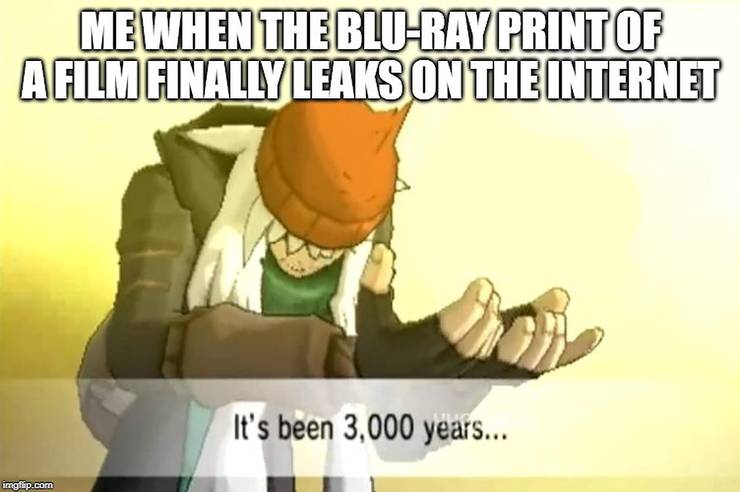 Auto Blu Fa Schifo Memesita