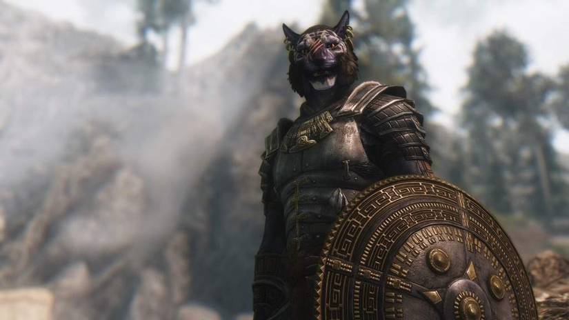 Skyrim: Top 10 Anticipated Mods