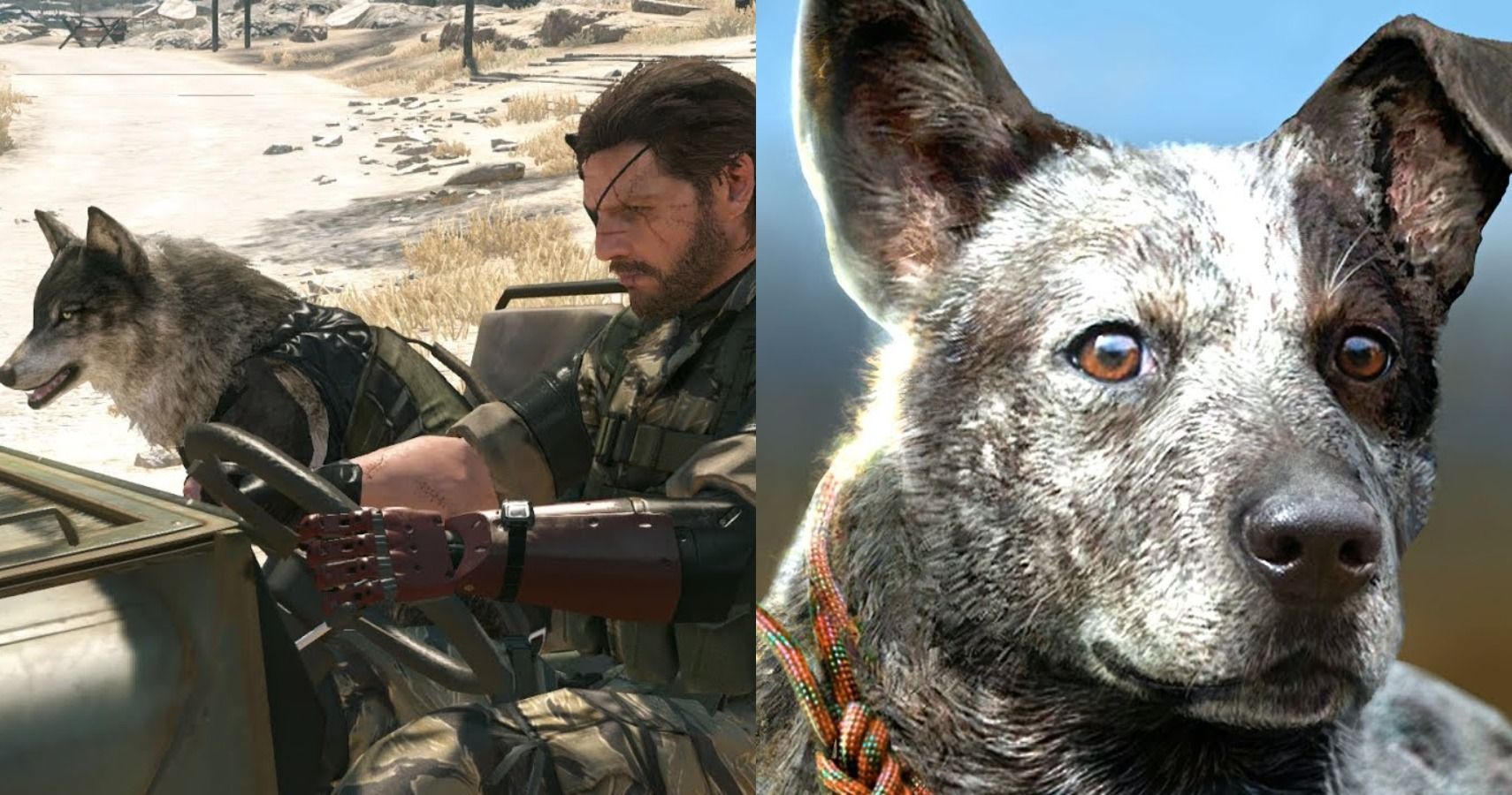 10 Of The Best Video Games You Can Pet The Dog In | TheGamer