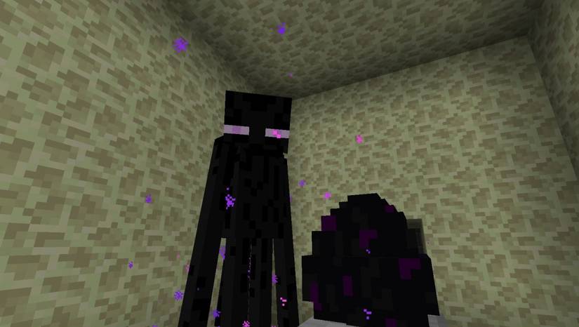 10 Facts You Didn't Know About Minecraft
