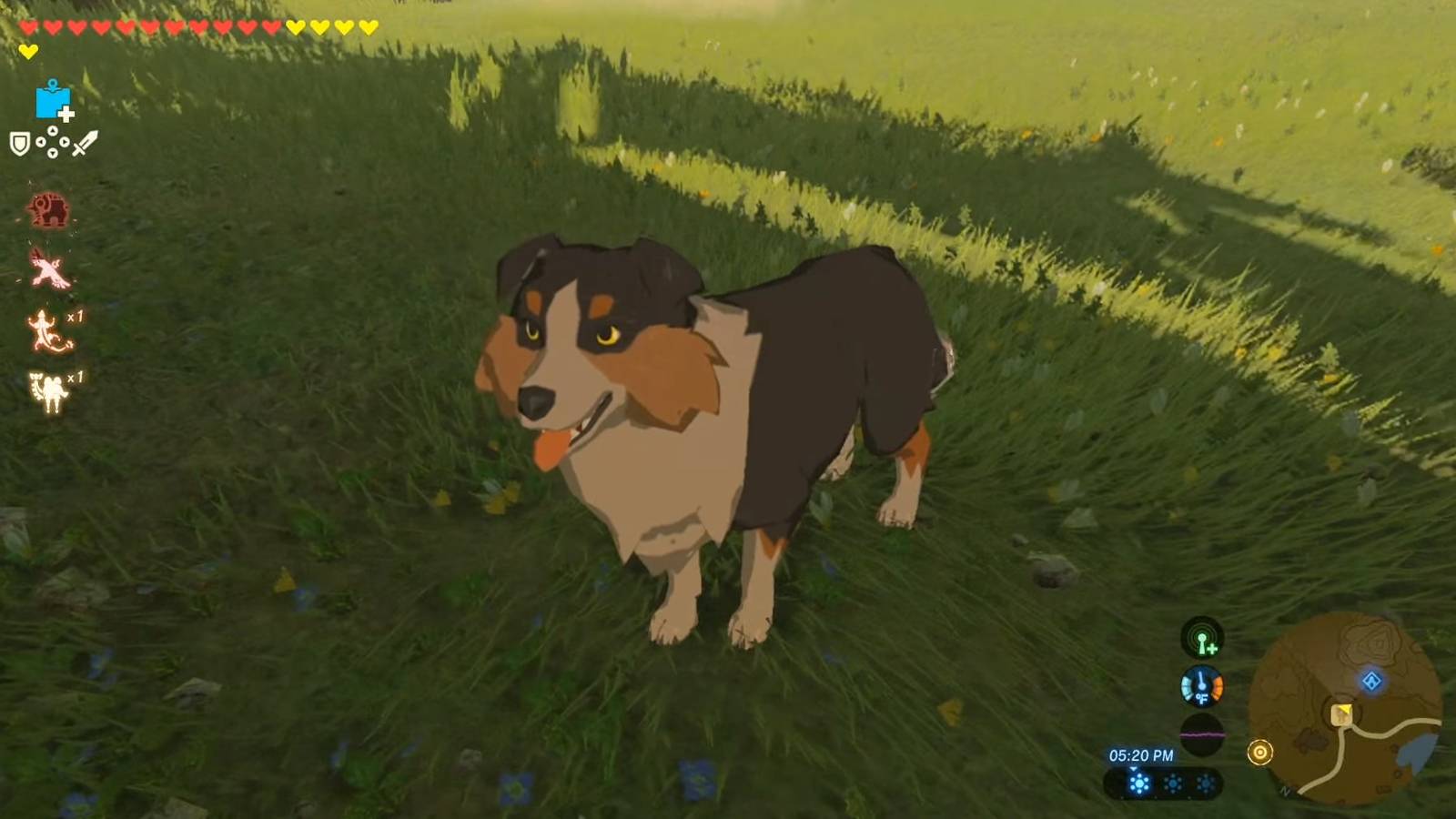 Zelda: Breath Of The Wild Speedrunner Fed Every Dog Across Hyrule In ...
