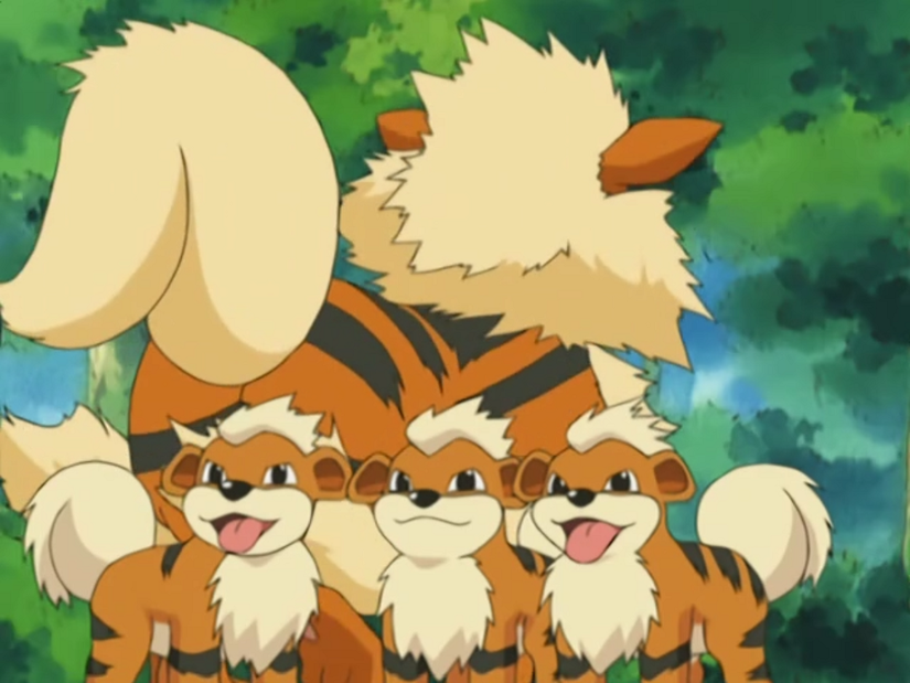 The 10 Cutest Fire Pokémon, Ranked