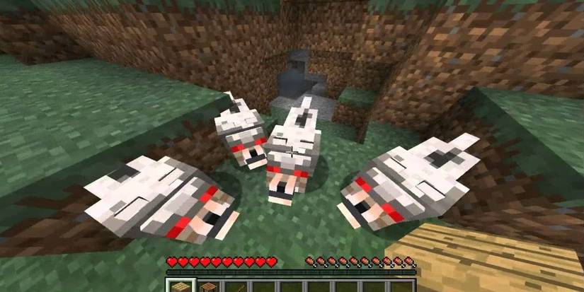 Prime Wolves Minecraft Minecraft: 10 Things You Didn't Know About Wolves