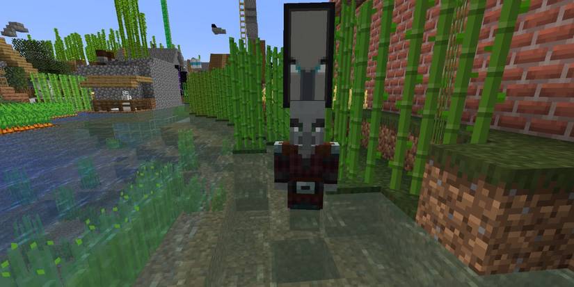 Minecraft Raid Captain