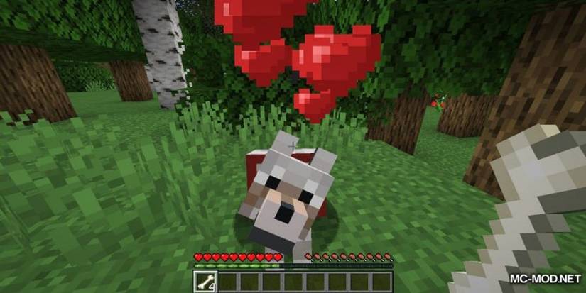 Wolfe Minecraft Minecraft: 10 Things You Didn't Know About Wolves