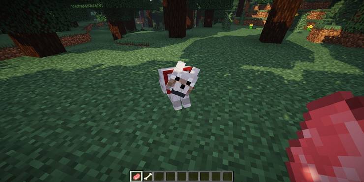 Minecraft 10 Things You Didn T Know About Wolves Thegamer