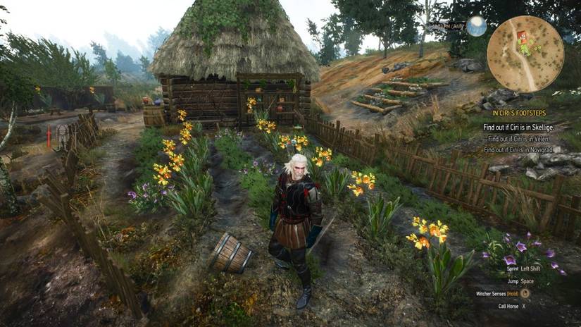 The Witcher 3: 15 Most Useful Potions, Ranked (& How To Make Them)