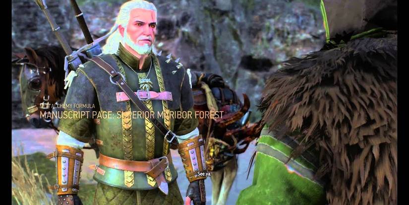 Radabor Witcher The Witcher: 10 Things You Didn't Know About Triss