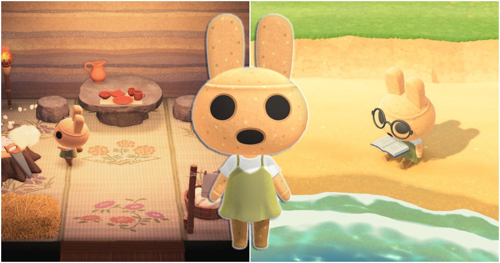 Animal Crossing 15 Things You Didn T Know About Coco Thegamer