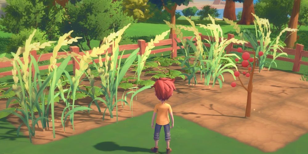 8 Best Gardening Games On Android