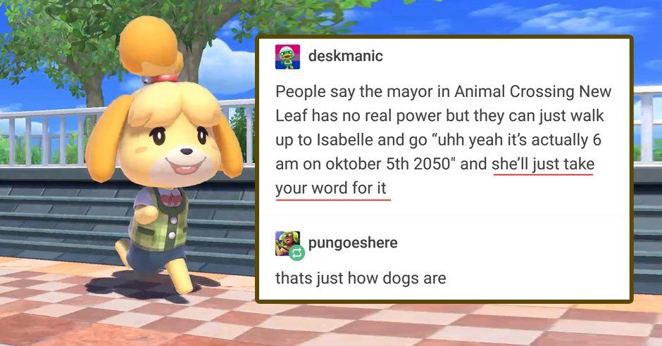 animal crossing memes