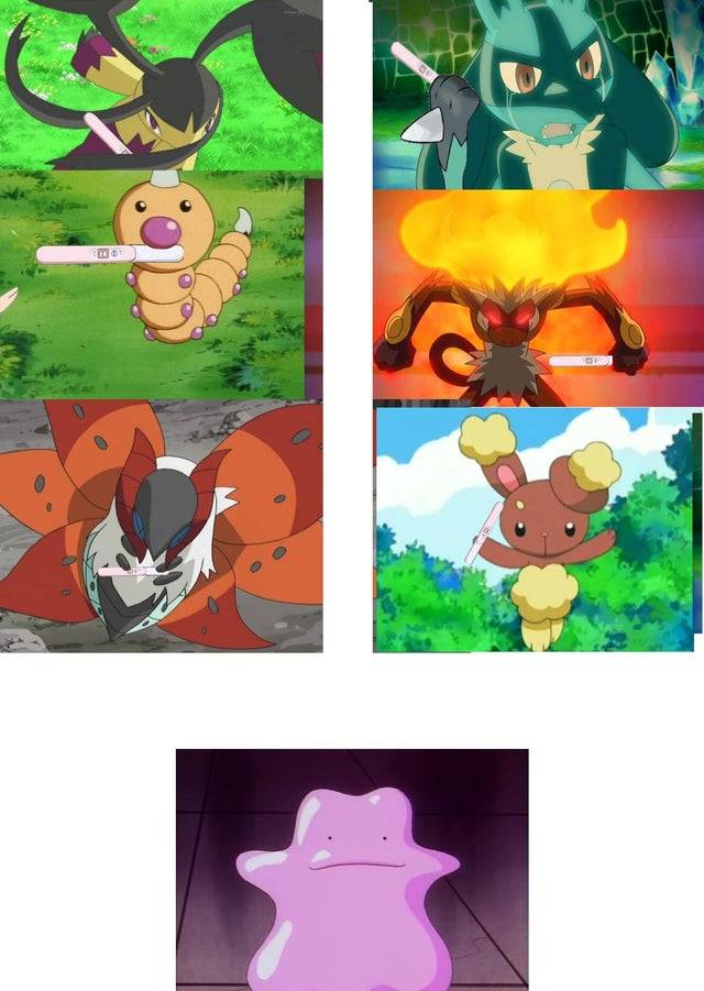 Pokemon 10 Hilarious Day Care Breeding Memes Only Real Fans Will Understand