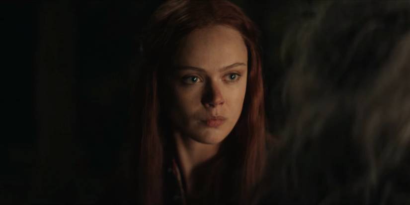 The Witcher 4: 10 Characters From The Books That Could Show Up In The Game