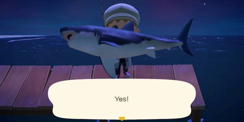 Animal Crossing: 15 Hardest Fish to Catch (& How To Catch Them)