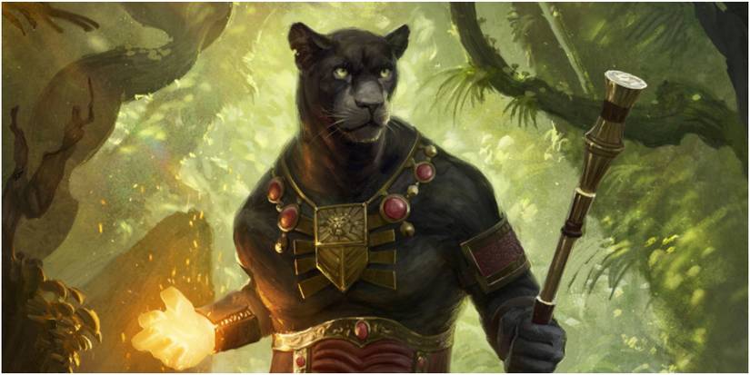 lord windgrace planeswalker magic the gathering art