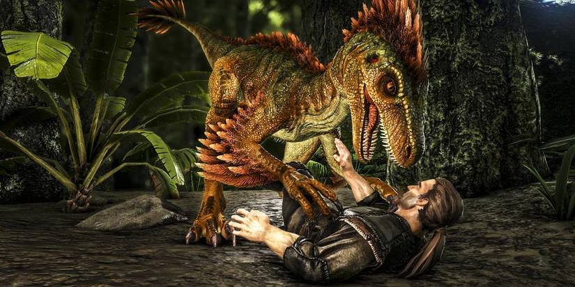 Kaki Raptor Ark Top 16 Creatures To Tame First In Ark: Survival Evolved