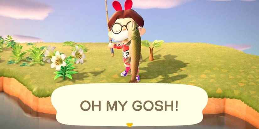 Animal Crossing: 15 Hardest Fish to Catch (& How To Catch Them)