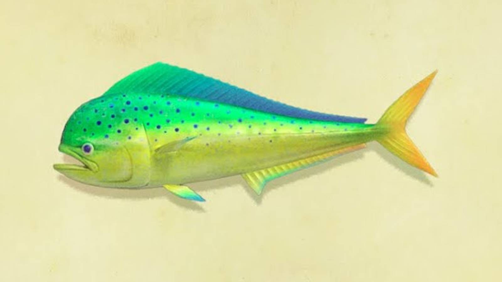 Animal Crossing: New Horizons - Fish You Need You Need To Catch Before ...