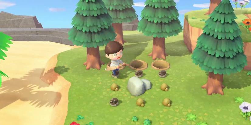 Animal Crossing: Everything To Know About Rocks