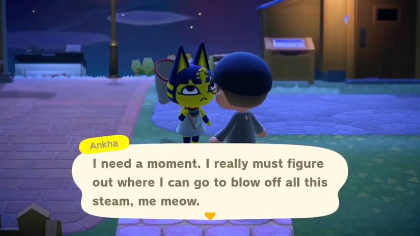 Animal Crossing: The 10 Most Expensive Amiibo Cards