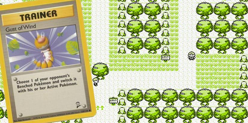 Pokmon TCG: 10 Best Generation 1 Cards, Ranked Pokmon TCG: 10 Best Generation 1 Cards, Ranked