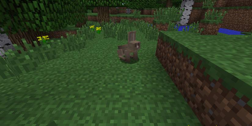 Most Adorable Minecraft Mobs