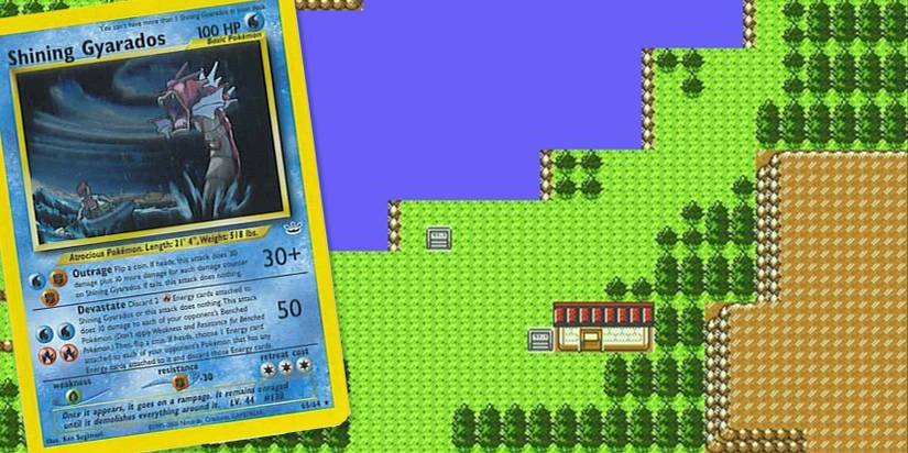 Pokmon TCG: 10 Best Generation 2 Cards, Ranked