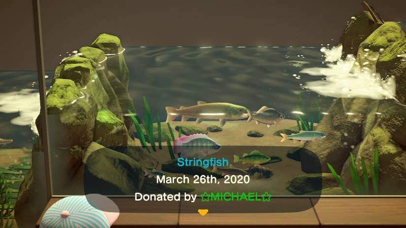 Stringfish The 10 Most Frustrating Things in Animal Crossing: New Horizons