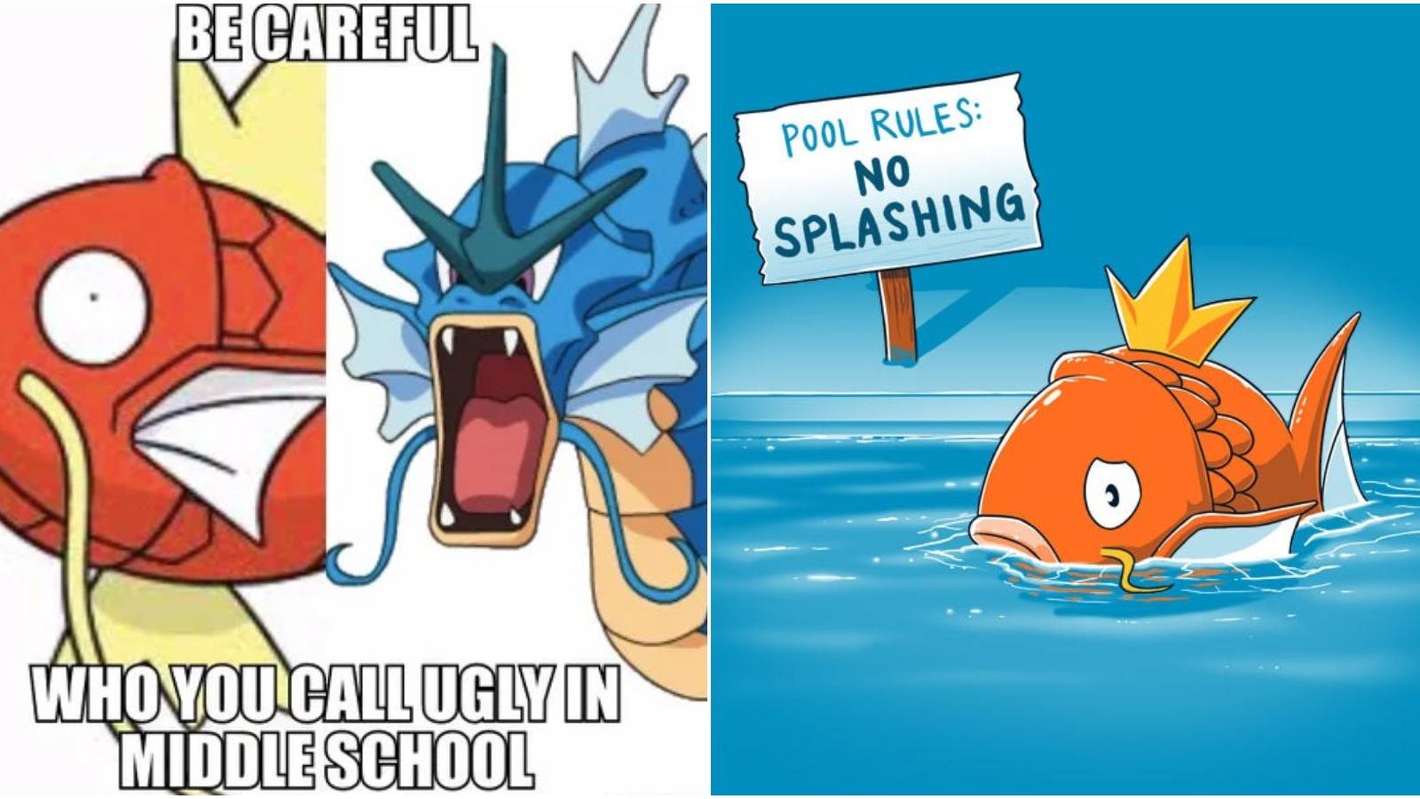 Buff Magikarp Pokémon: 10 Magikarp Memes That Make Us Cry-Laugh