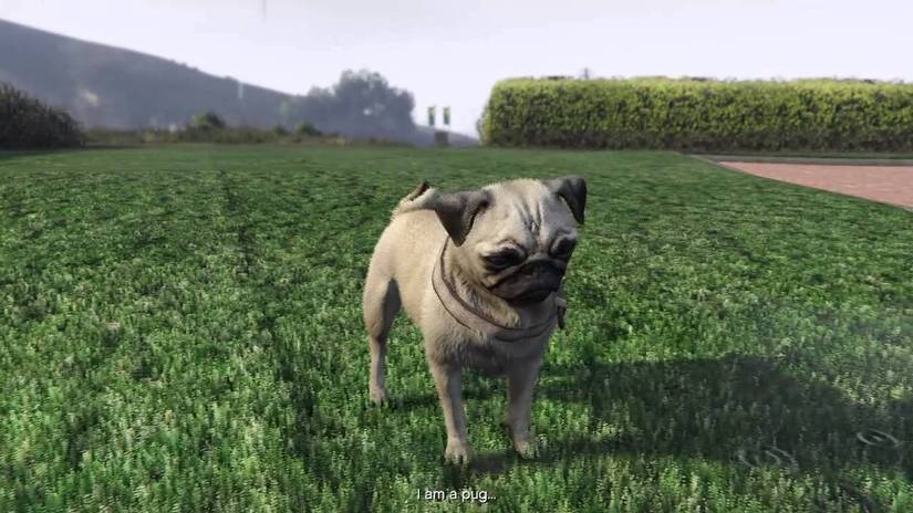Grand Theft Auto Online: How To Turn Into An Animal