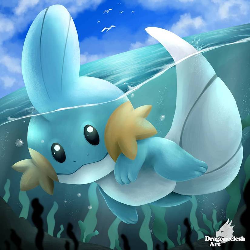 pok-mon-10-pieces-of-mudkip-fan-art-that-we-love