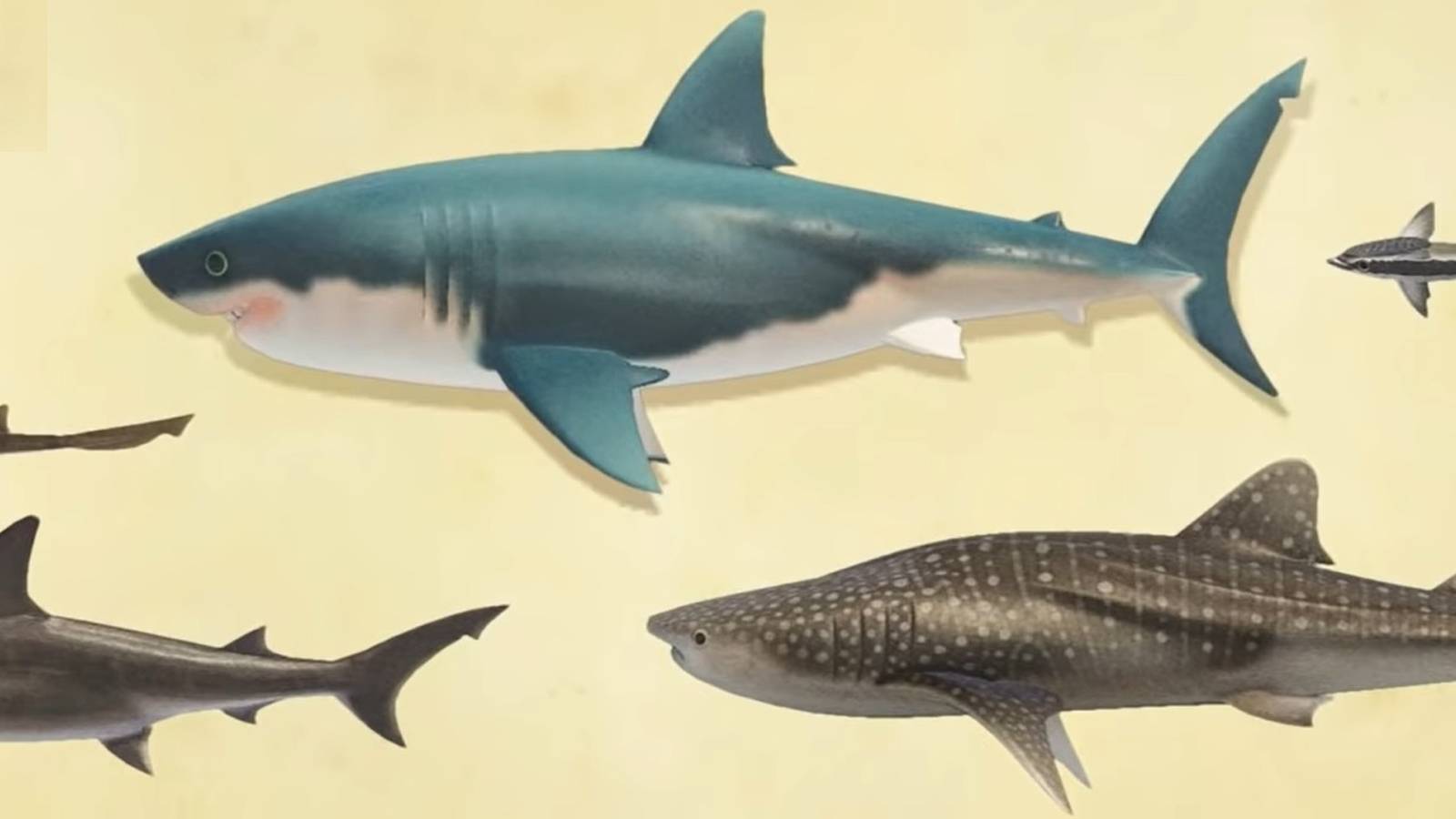 May Fish Animal Crossing: New Horizons - All Of The New Fish Available In June