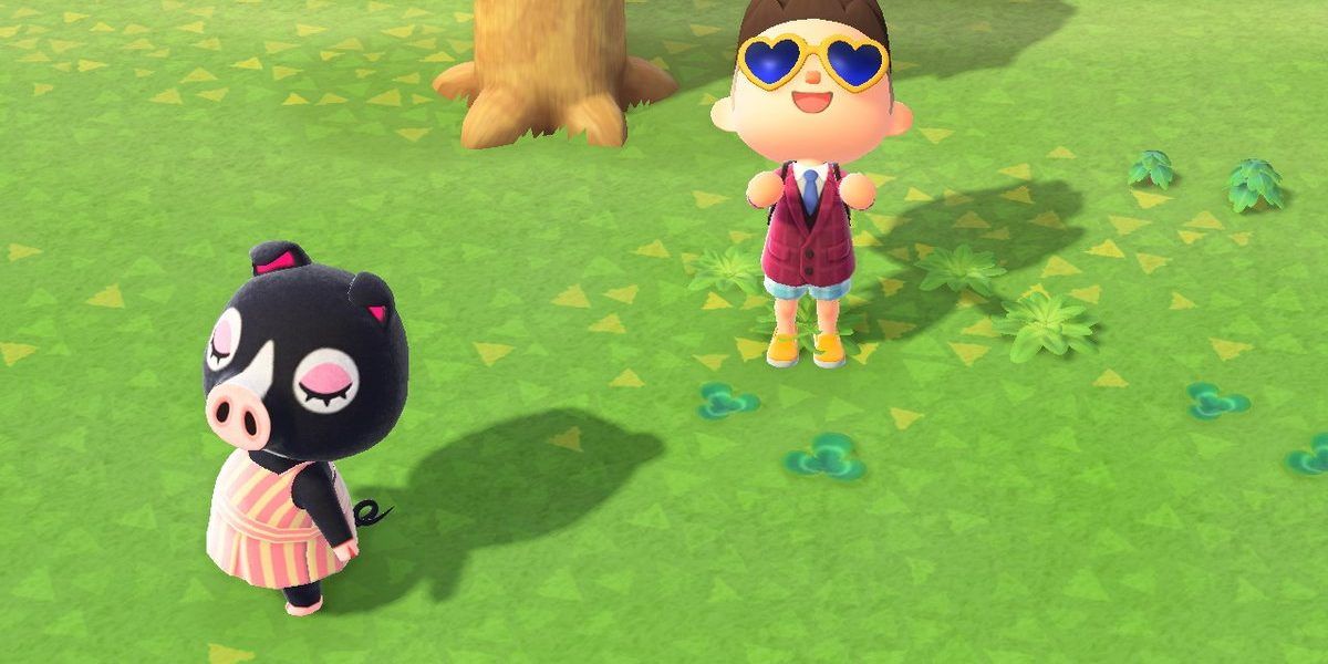 Animal Crossing The 15 Best Sisterly Villagers