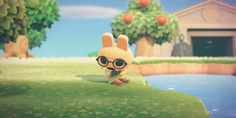Coco sitting on the grass outsite in Animal Crossing: New Horizons.