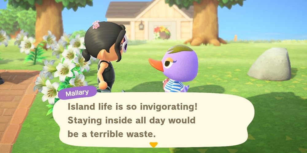 Animal Crossing The 15 Best Snooty Villagers