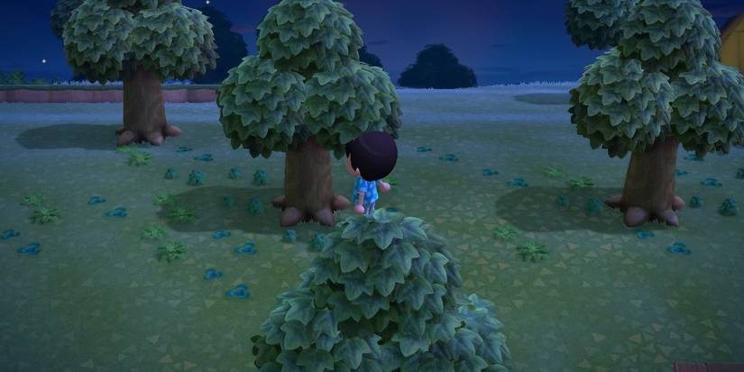 Animal Crossing: New Horizons - Everything To Know About Trees