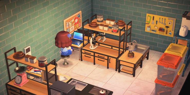 Animal Crossing The 10 Coolest Room Themes That Will Inspire You