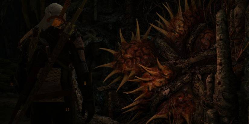 The Witcher 3: 10 Things That Make No Sense About Ladies Of The Woods